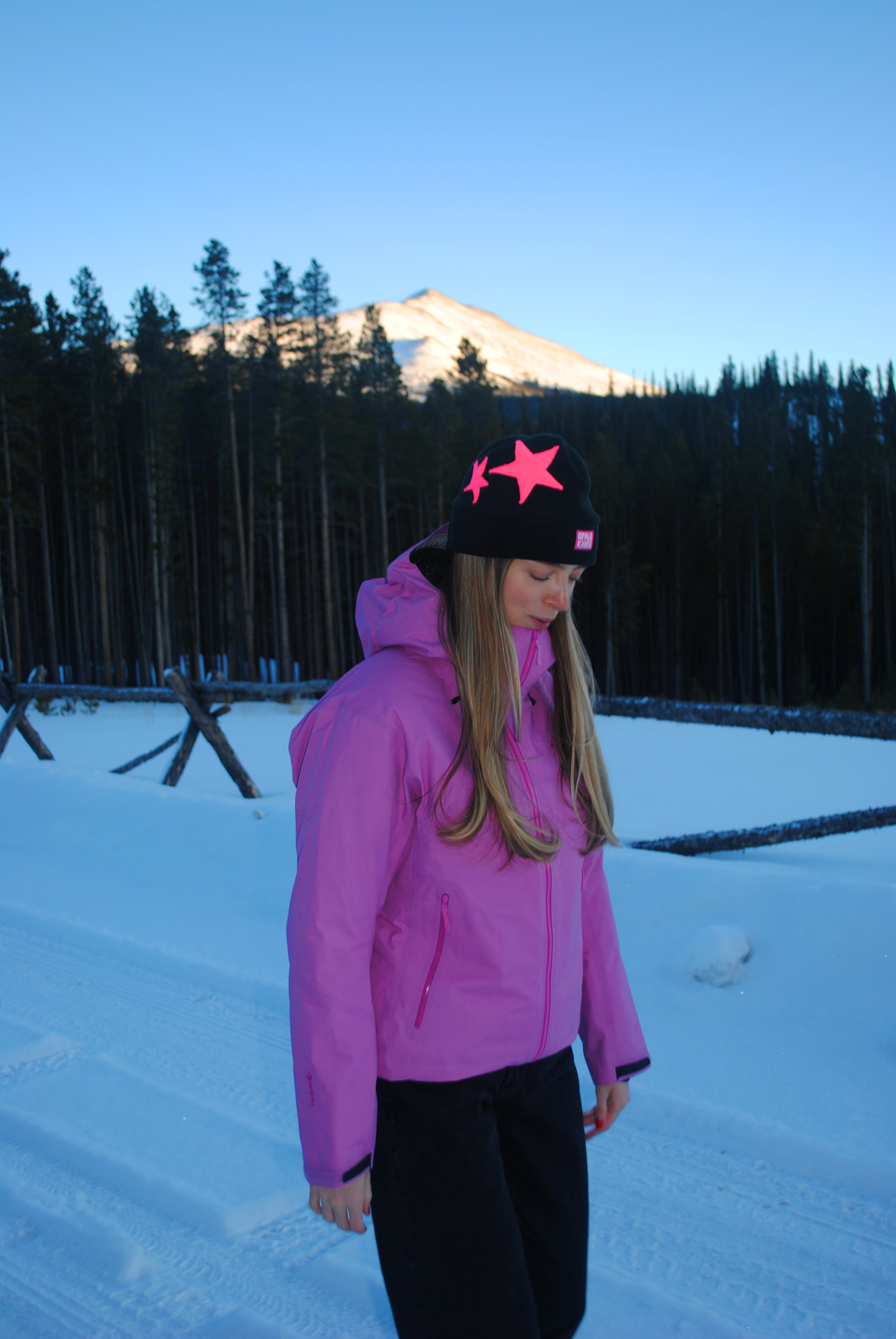 STAR EMBROIDERED LOW-PRO (SPECIAL EDITION)