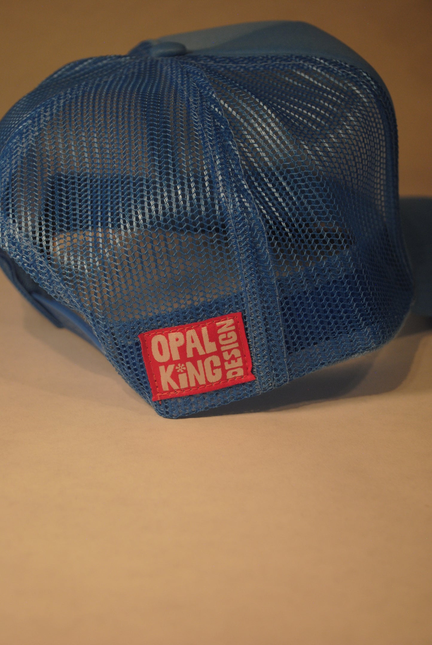 LIGHT BLUE FISH SKELLY TRUCKER